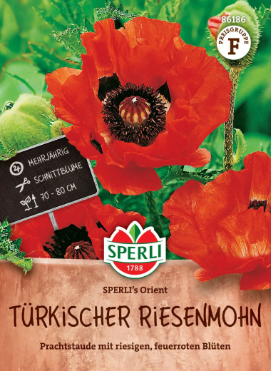 Türkischer Riesenmohnsamen SPERLIs Orient Inhalt: 1 Portion