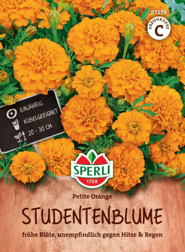 Studentenblumensamen Petite Orange Inhalt: 1 Portion