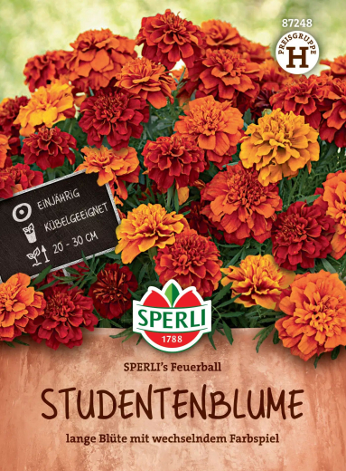 Studentenblumensamen SPERLIs Feuerball Inhalt: 1 Portion